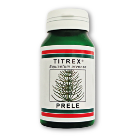 extrait de prele 10 fois plus concentré que la plante sèche