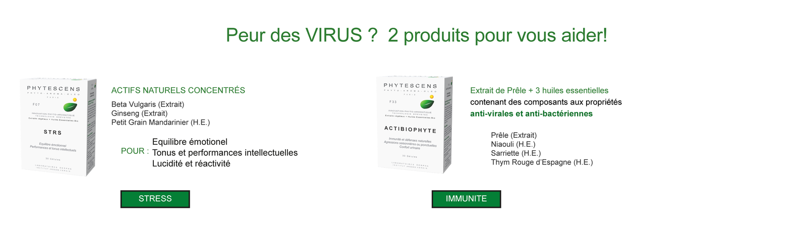 Hantavirus